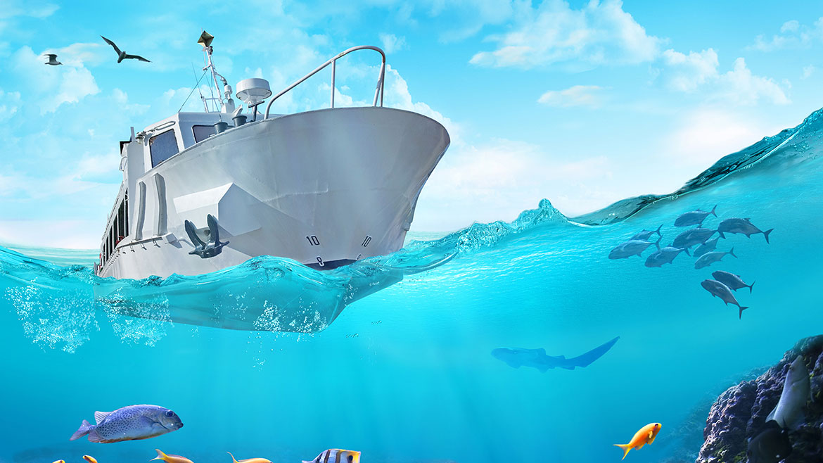 Sürdürülebilirlik Bilgi Notu